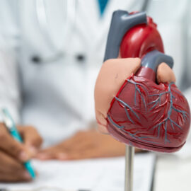 Heart Model